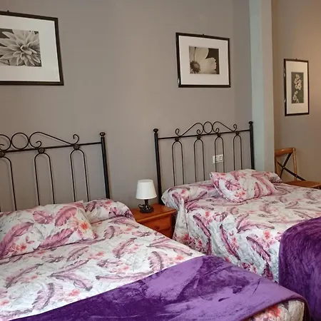 Don Pelayo Πανσιόν