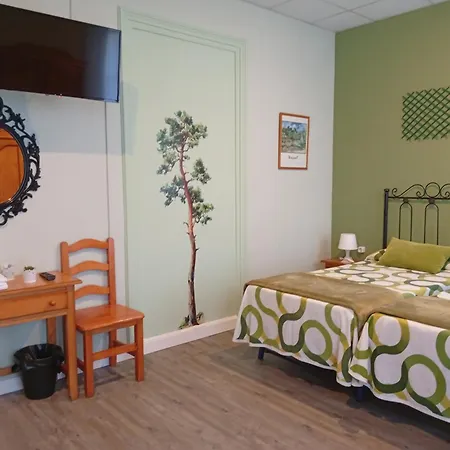 Don Pelayo Guest house