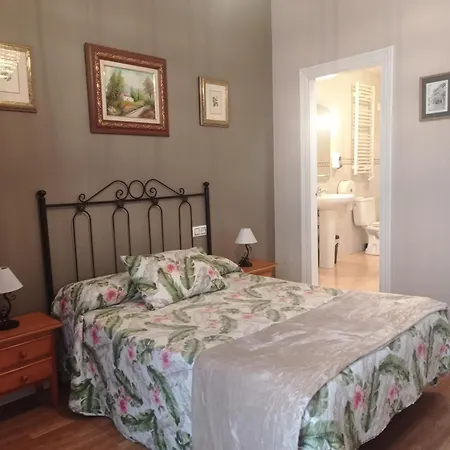 Don Pelayo Guest house